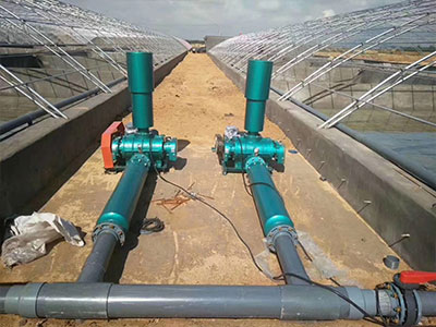 污水處理羅茨風機圖片3