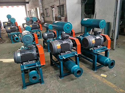 羅茨鼓風(fēng)機 羅茨鼓風(fēng)機