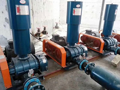 羅茨鼓風(fēng)機(jī) 羅茨鼓風(fēng)機(jī)