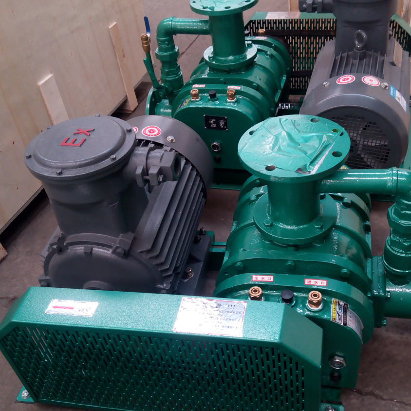 沼氣羅茨風機.jpeg 沼氣羅茨風機.jpeg